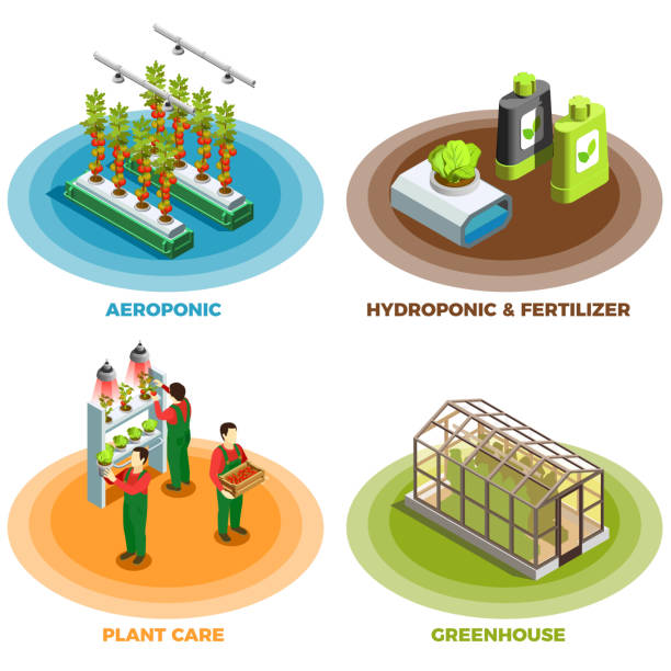 hydroponische aeroponische farm isometrische 2x2 - aeroponics stock-grafiken, -clipart, -cartoons und -symbole