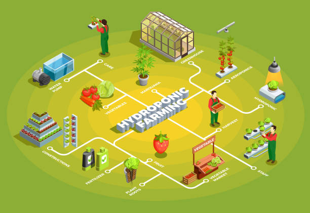 hydroponisches aeroponisches farm-isometrisches flussdiagramm - aeroponics stock-grafiken, -clipart, -cartoons und -symbole