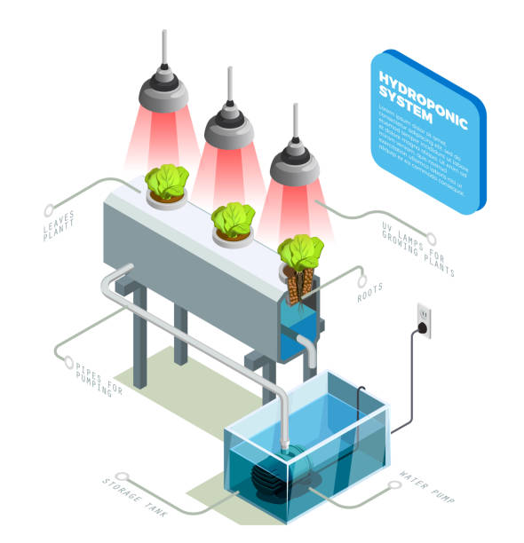 hydroponische aeroponische farm isometrische zusammensetzung - aeroponics stock-grafiken, -clipart, -cartoons und -symbole