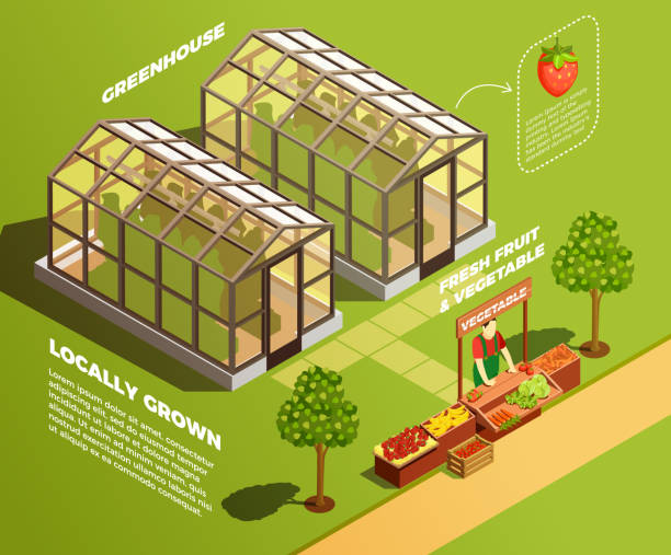 수경 에어로포닉 농장 등각 투영 조성물 - farm fruit vegetable orchard stock illustrations