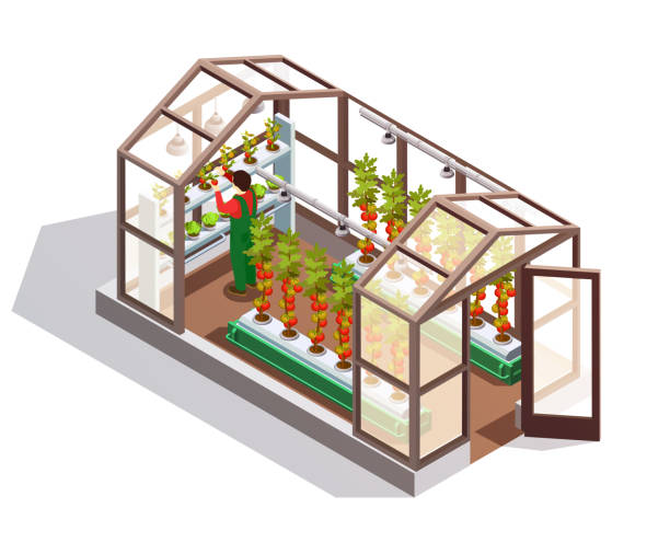 hydroponische aeroponische farm isometrische zusammensetzung - aeroponics stock-grafiken, -clipart, -cartoons und -symbole