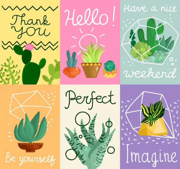 Vector illustration of cacti succulents cards