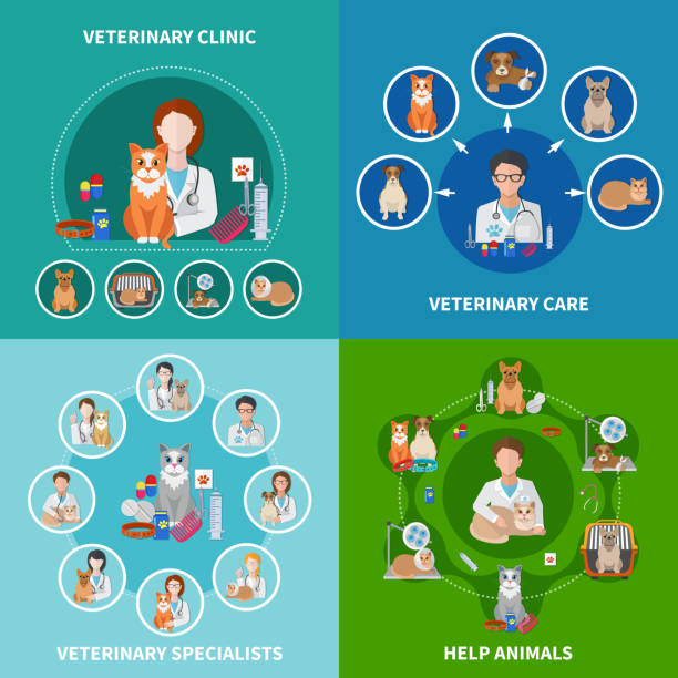 ilustrações de stock, clip art, desenhos animados e ícones de veterinary - vet domestic cat veterinary medicine stethoscope