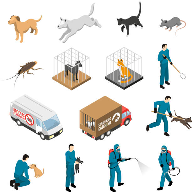 1,454 Dog Catcher Illustrations & Clip Art - iStock | Dog catcher pound, Dog  catcher net, Dog catcher vector
