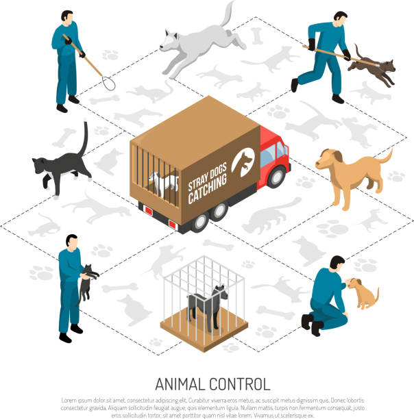 Vector Control Officer Animal Control Officer Clip Art