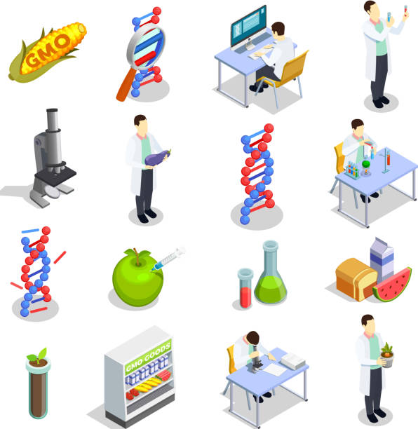 genetically modified organism gmo isometric icons Genetically modified organisms set of isometric icons with dna research, gmo goods, scientific laboratory isolated vector illustration shot apple stock illustrations