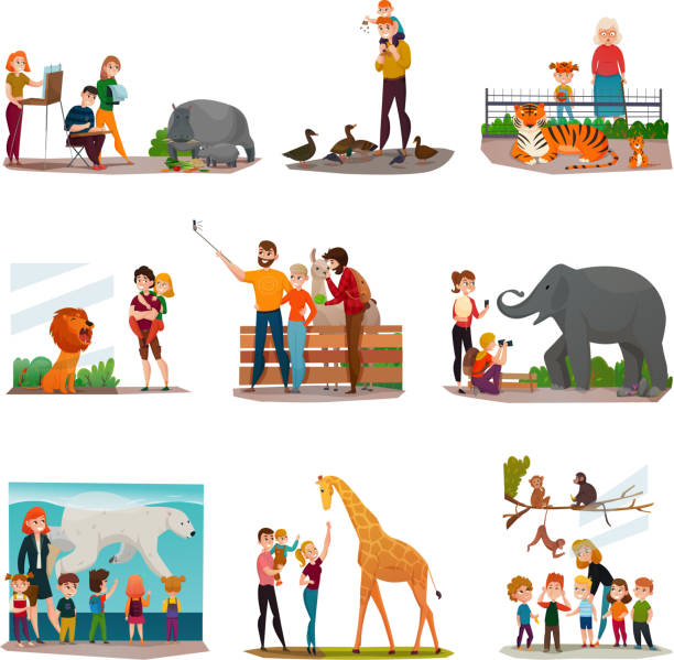 ilustrações, clipart, desenhos animados e ícones de conjunto de visitantes do zoológico - zoo child llama animal
