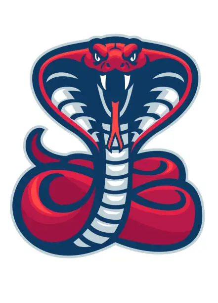Vector illustration of cobra snake mascot ready to attack