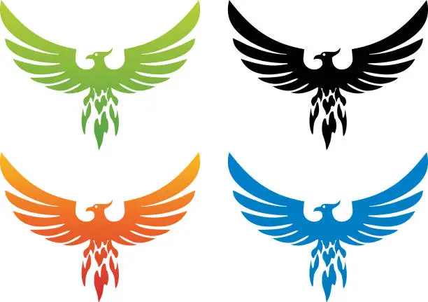 Vector illustration of Four versions of phoenix bird.