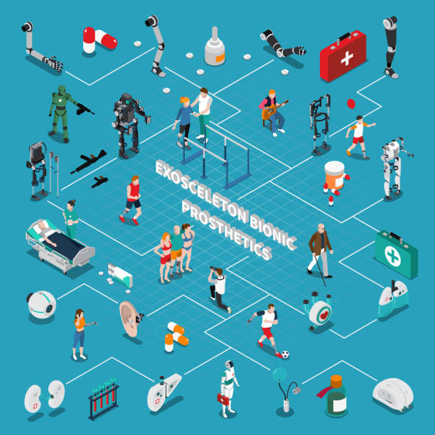 Bionic Flowchart 160+ Bionic Ear Stock Illustrations, Royalty-Free Vector Graphics ...
