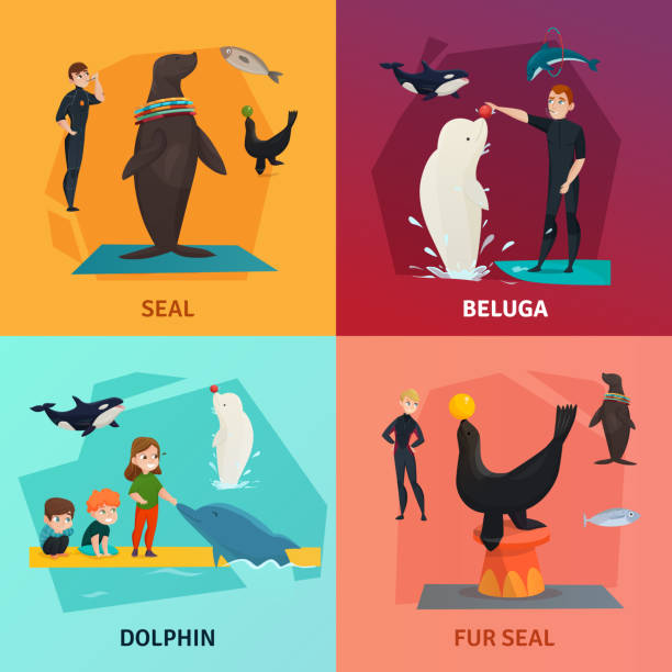 dolphinarium concept Dolphinarium show concept icons set with seal and dolphin symbols flat isolated vector illustration pool at the crook stock illustrations