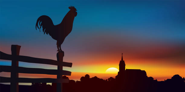 Sunrise on an authentic country landscape with a rooster perched in the foreground. Countryside landscape at daybreak with, in the foreground, a rooster perched on a barrier and on the horizon a traditional village of France. rooster stock illustrations