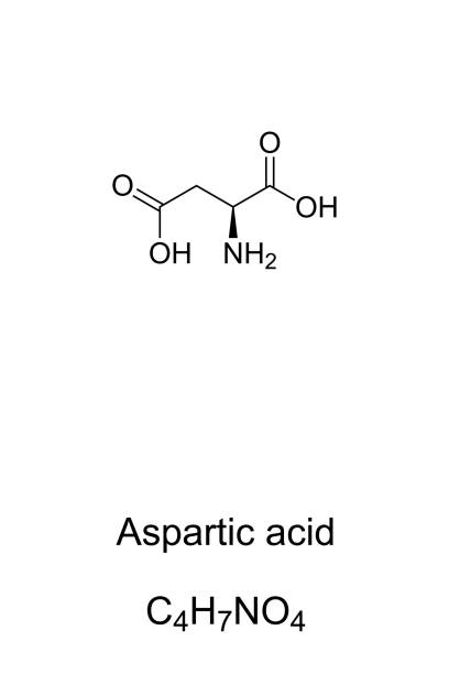 Aspartic acid molecule, skeletal formula Aspartic acid molecule, skeletal formula. Structure of Asp, C4H7NO4. Ionic form known as aspartate. Neurotransmitter. Compound for the production of aspartame. Structural formula. Illustration. Vector chemical formula for aspartame stock illustrations
