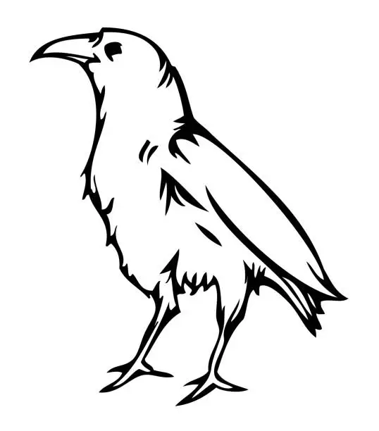 Vector illustration of Crow raven , vector sticker tattoo