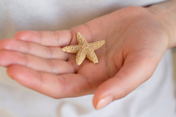 istock young woman holding a starfish 1201229901
