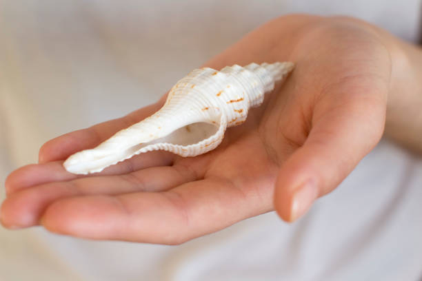 istock young woman holding a sea shell 1201229929