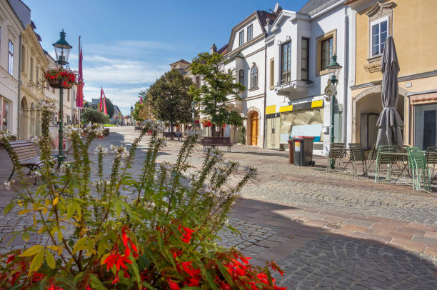 istock Eisenstadt in Austria 1201230107
