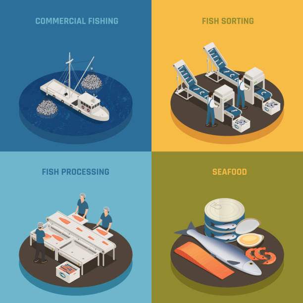 수산물 산업 수산물 생산 아이소메트릭 2x2 - ocean conveyor stock illustrations