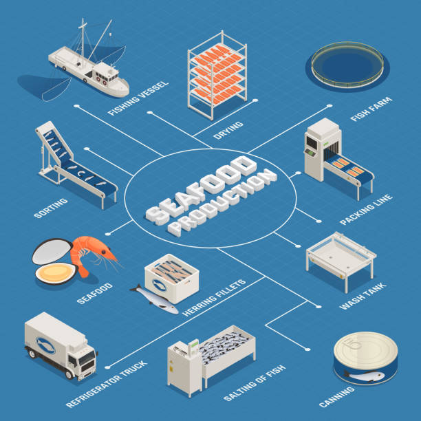 ilustrações de stock, clip art, desenhos animados e ícones de fish industry seafood production isometric flowchart - fish seafood prepared fish nautical vessel