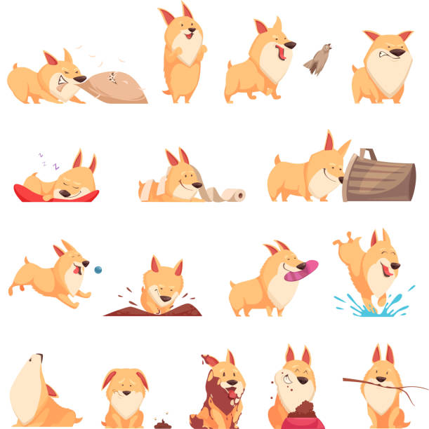 illustrations, cliparts, dessins animés et icônes de ensemble mignon de jour de chiot - comportement animal