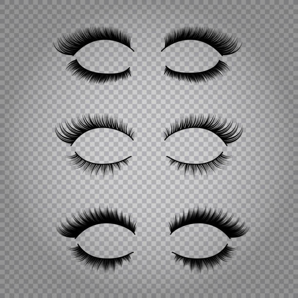 false eyelashes open realistic Set of realistic false lashes for upper and lower eye lids isolated on transparent background vector illustration eyelash stock illustrations