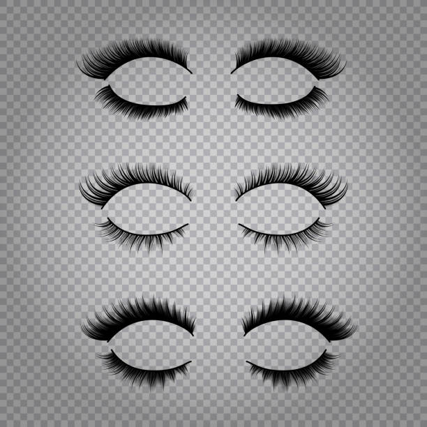 false eyelashes open realistic Set of realistic false lashes for upper and lower eye lids isolated on transparent background vector illustration false lashes stock illustrations