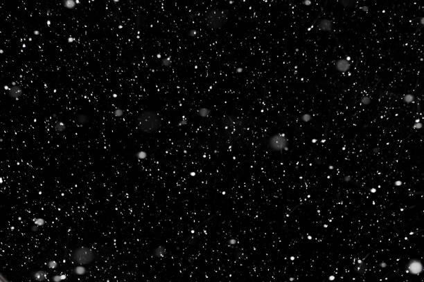 Real falling snow on a black background for use as a texture layer in a photo design.