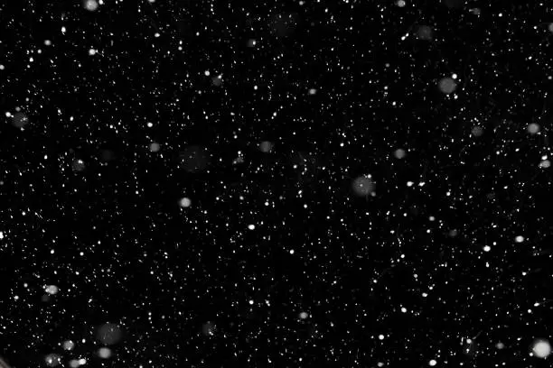 Real falling snow on a black background for use as a texture layer in a photo design