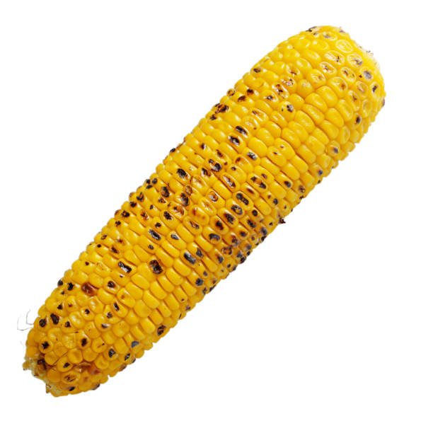 istock Organic roasted sweet corn on the cob isolated on white background. Clipping path added 1201238231