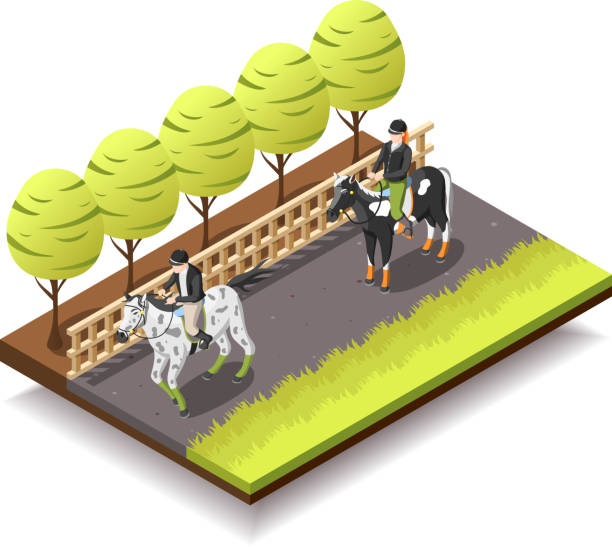 ilustraciones, imágenes clip art, dibujos animados e iconos de stock de caballos isométricos composición jockey - horse stall stable horse barn