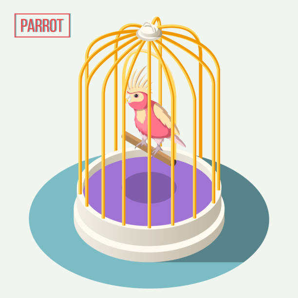 exotic pets isometric composition Exotic pets isometric composition with parrot sitting on wooden perch in cage cartoon vector illustration bird cage art cartoons stock illustrations