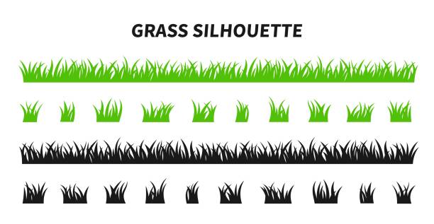 Vector set of green grass silhouettes. Vector set of green grass silhouettes isolated on white background. Natural, eco, bio, organic. Illustration for concept design. clip art stock illustrations