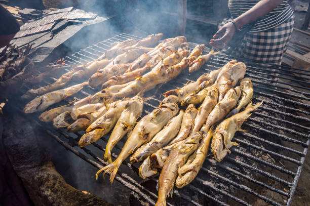 Smoking fish on a grill using charcoal stock photo