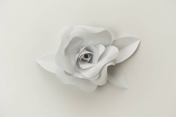 schöne papier rose blume nahaufnahme foto auf weißem hintergrund. - cut out flower close up cut flowers stock-fotos und bilder
