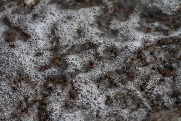 istock sea pebbles colored granite on the beach background stones. 1201248296