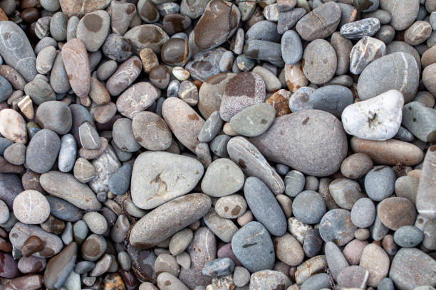 istock sea pebbles colored granite on the beach background stones. 1201248366