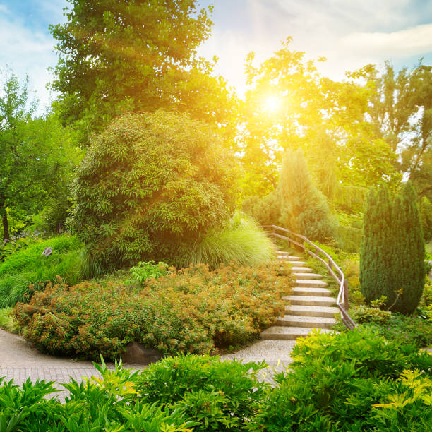 City park with beautiful trees, shrubs and a decorative staircase.