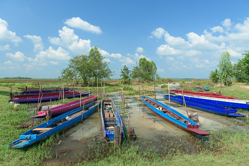 Landscape of swamp and boat in Thailand.