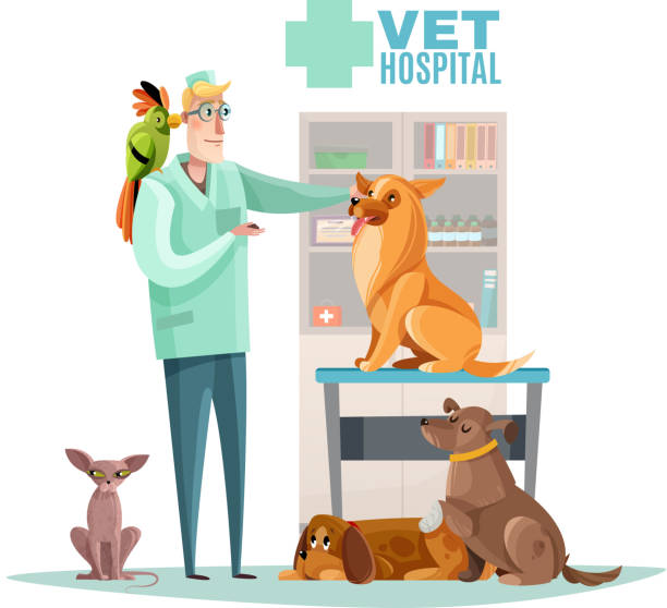 ilustrações, clipart, desenhos animados e ícones de ilustração de animais de estimação médico sumidrmédico veterinário - domestic cat indoors domestic life image
