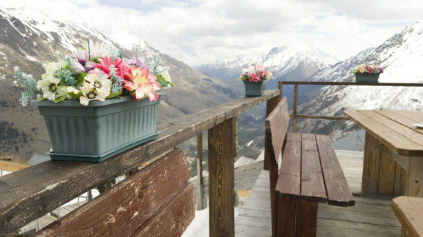 Decoration at the Dombay ski resort in the Caucasus. Artificial flowers in a pot in winter near the recreation area stock photo