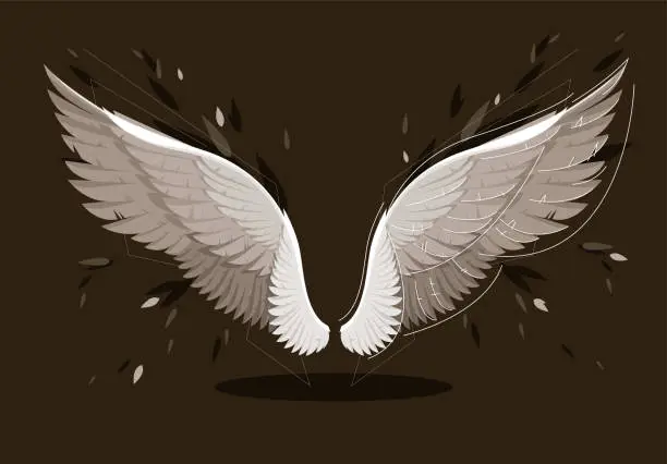 Vector illustration of Vector illustration of wings