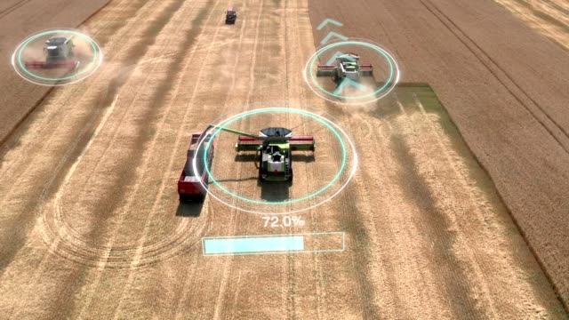 Autonomous transportation in agriculture. Self-driving harvesters ride on wheat field and harvest. Aerial view