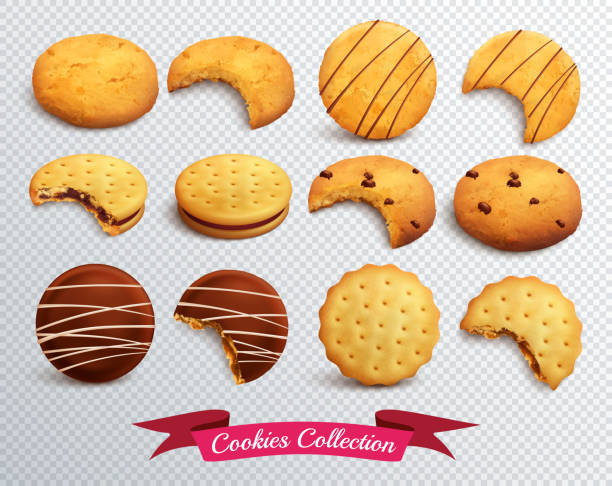 illustrations, cliparts, dessins animés et icônes de cookies ensemble réaliste transparent - biscuit cookie cracker missing bite