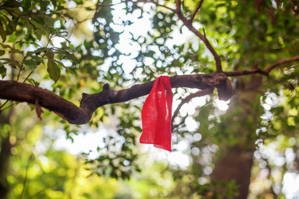 Close-up photography of a red cloth tied to a tree branch with lush foliage in the background