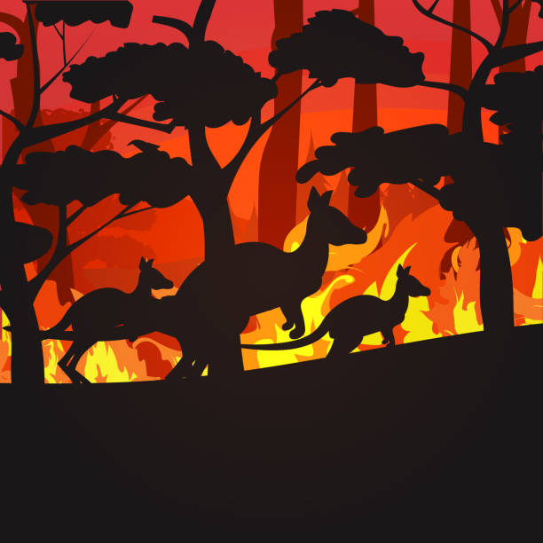 istock silhouettes of kangaroos running from forest fires in australia animals dying in wildfire bushfire burning trees natural disaster concept intense orange flames 1201255499