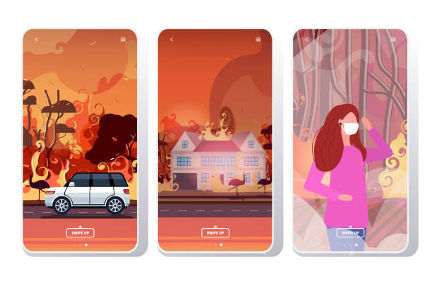 podpalić lasy w australii pożar bushfire płonące drzewa naturalne katastrofy ewakuacji koncepcji intensywne pomarańczowe płomienie ekrany smartphone kolekcja aplikacja mobilna - wildfire smoke stock illustrations