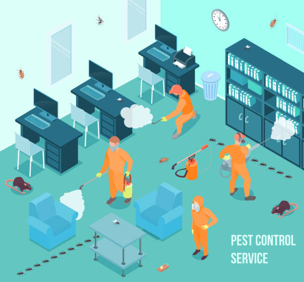 isometric sanitary domestic disinfection illustration People from pest control service doing disinfection in office 3d isometric vector illustration office fogging stock illustrations