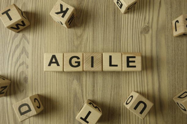 istock Word agile from wooden blocks 1201258892
