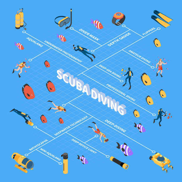 illustrazioni stock, clip art, cartoni animati e icone di tendenza di diagramma di flusso isometrico di snorkeling subacqueo - scuba diving flash