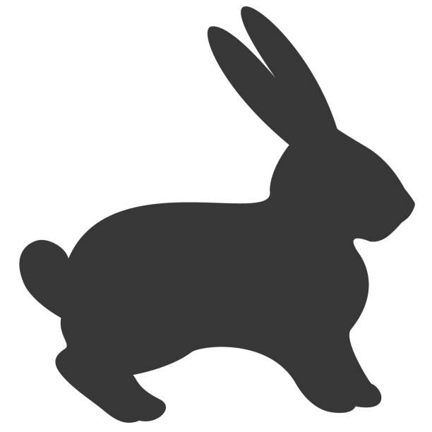Little bunny silhouette vector art illustration
